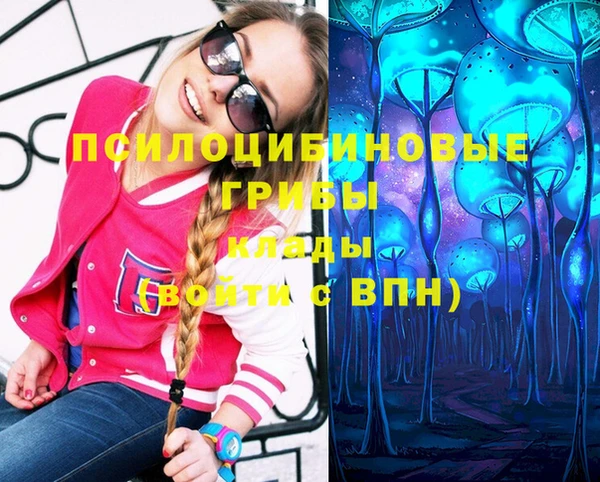 спайс Ладушкин